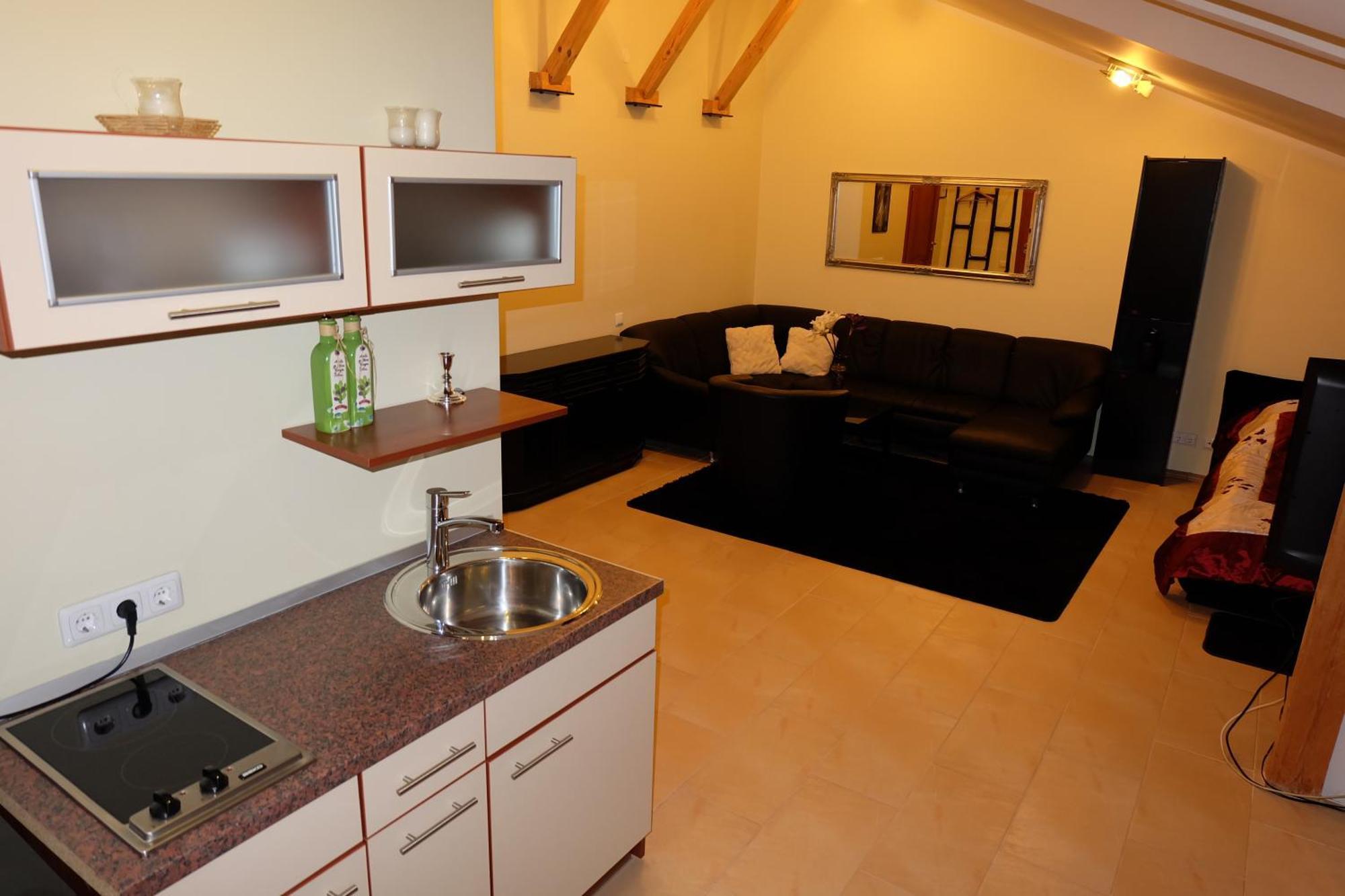 Hotel Green Smiltyne Panevėžys Rum bild